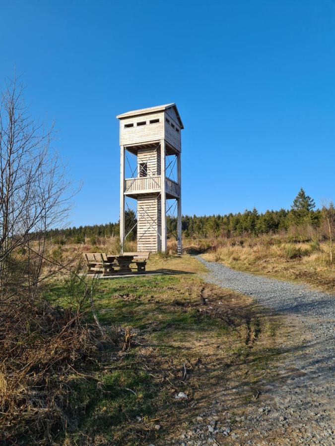 Ferme La Joye Panzió Houffalize Kültér fotó